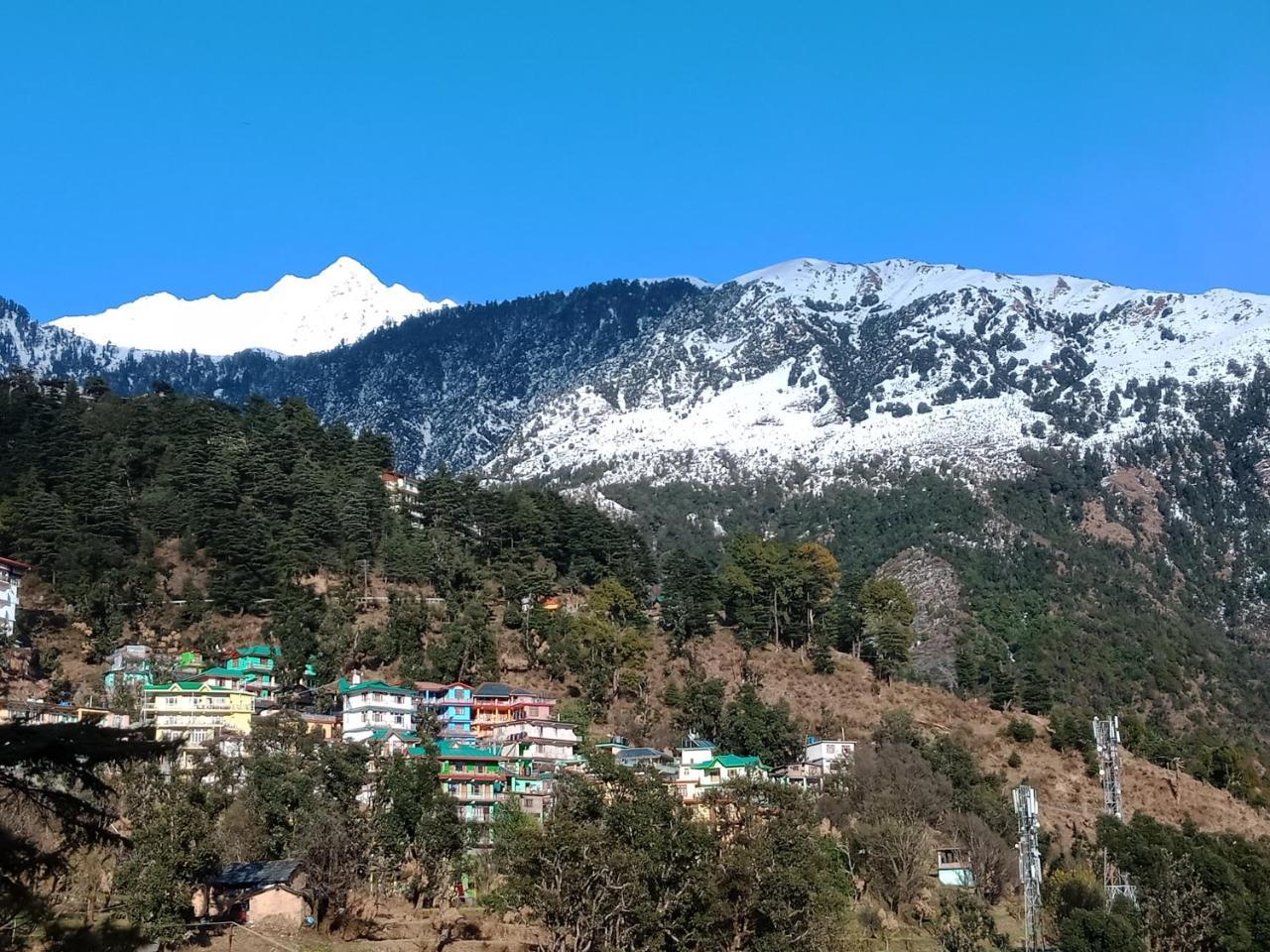 Hotel Pine Spring Dharamshala Exterior photo