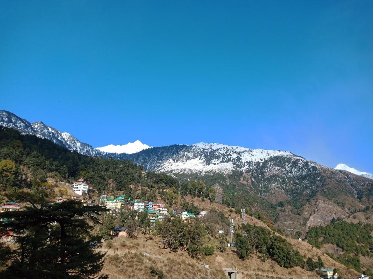 Hotel Pine Spring Dharamshala Exterior photo