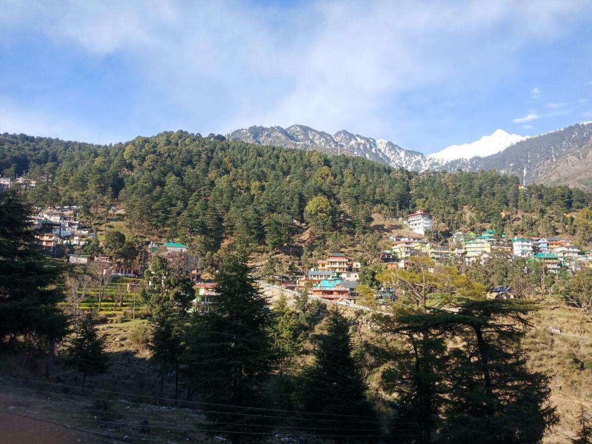 Hotel Pine Spring Dharamshala Exterior photo