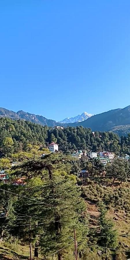 Hotel Pine Spring Dharamshala Exterior photo